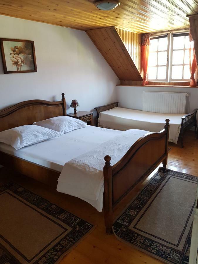 Pensiunea Bunea Haţeg Exterior foto